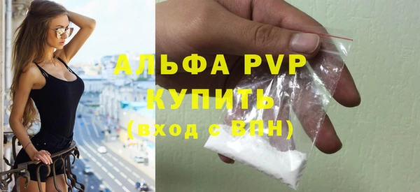 стаф Киренск