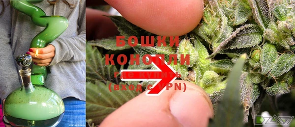 стаф Киренск