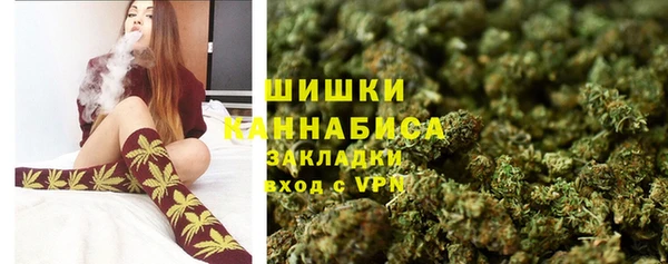 стаф Киренск