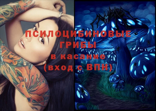 стаф Киренск