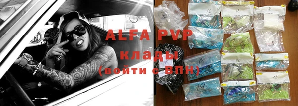 стаф Киренск