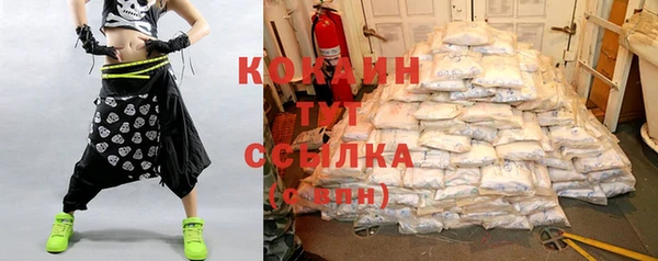 стаф Киренск