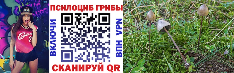ОМГ ОМГ рабочий сайт  Электросталь  Псилоцибиновые грибы Psilocybine cubensis  хочу наркоту 